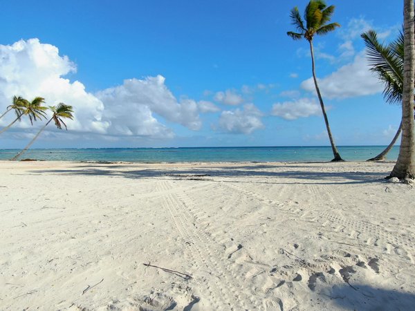 Analyse des Codes Promotionnels : Plongée au Cœur des Stratégies dans le Tourisme